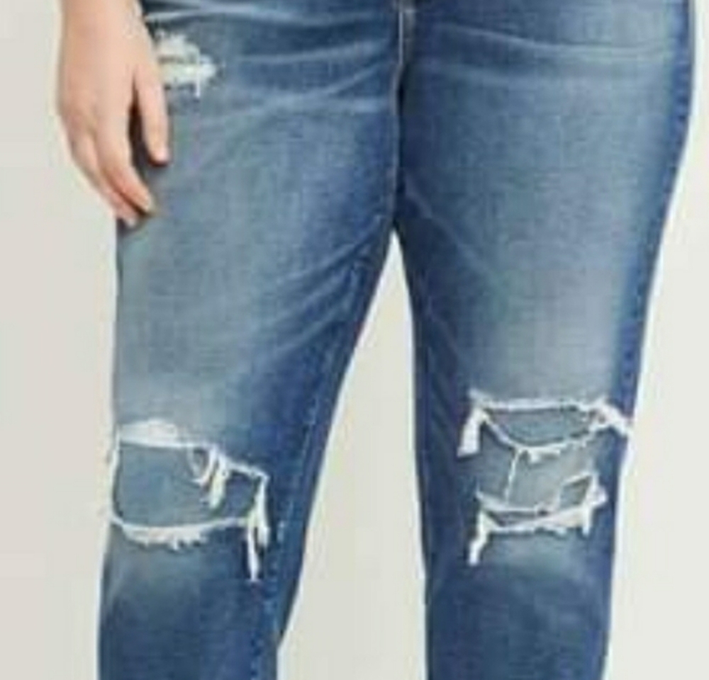 Lane Bryant Boyfriend Low Rise Jeans